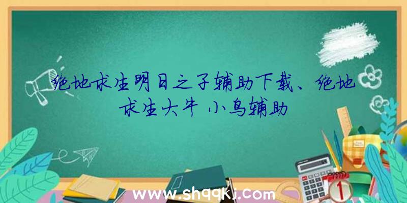 绝地求生明日之子辅助下载、绝地求生大牛